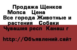 Продажа Щенков Мопса › Цена ­ 18 000 - Все города Животные и растения » Собаки   . Чувашия респ.,Канаш г.